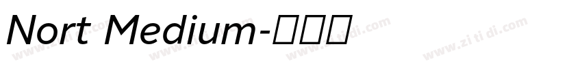 Nort Medium字体转换